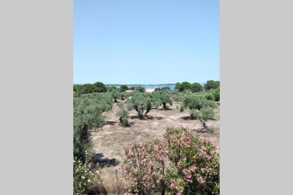 Nefolia Villa Vourvourou Dış mekan fotoğraf