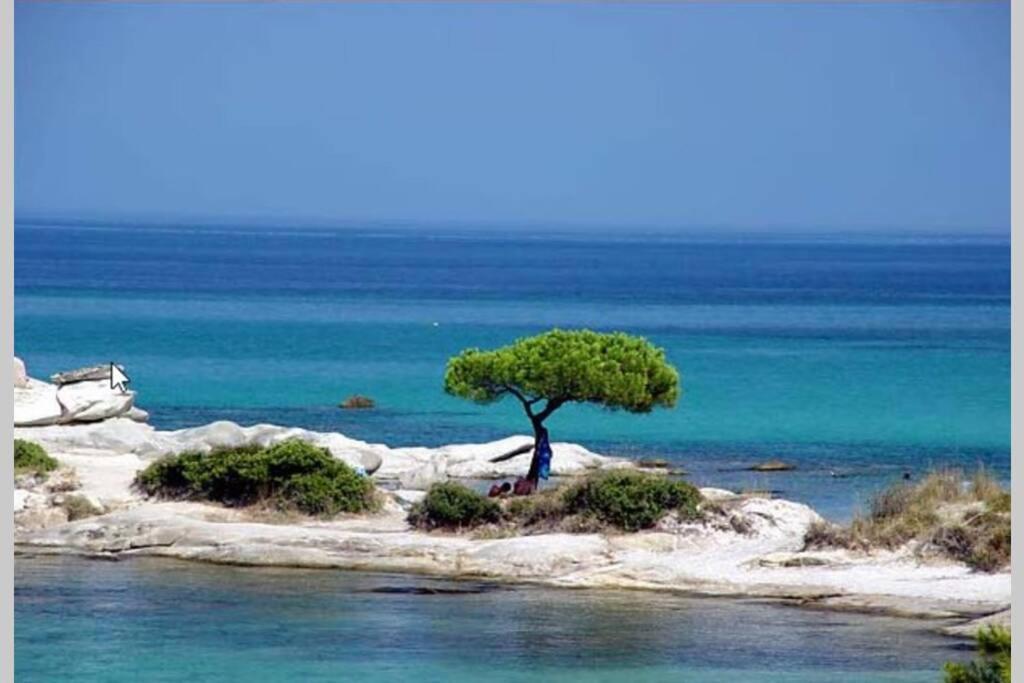 Nefolia Villa Vourvourou Dış mekan fotoğraf