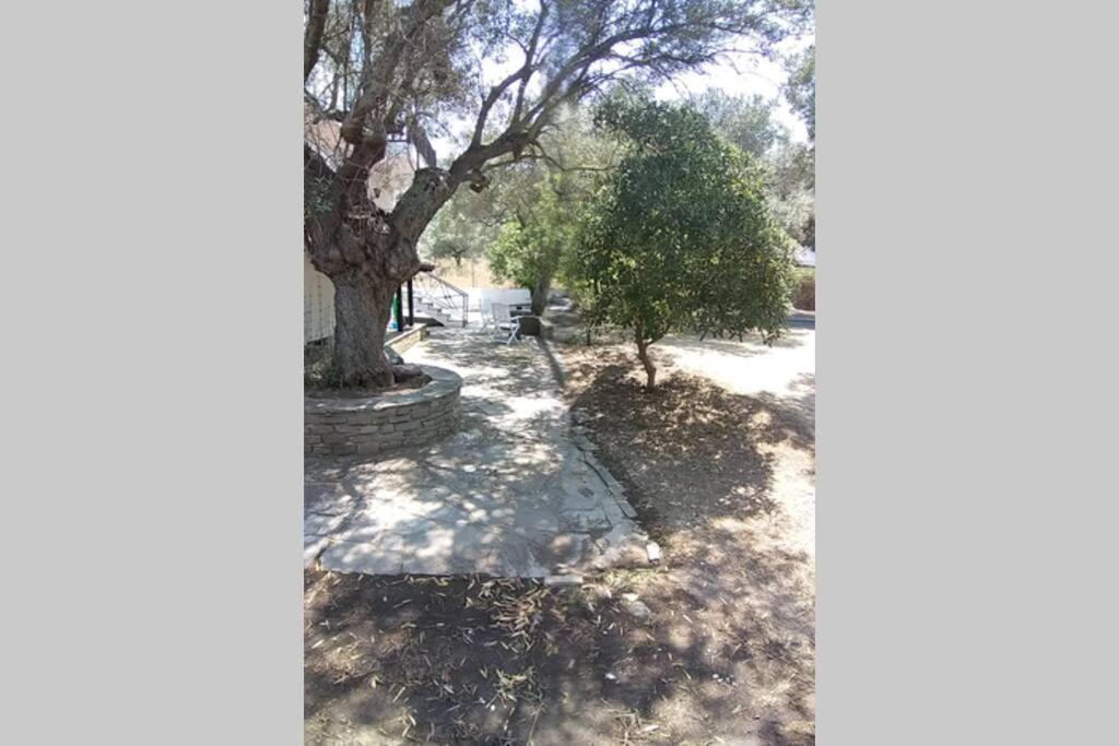 Nefolia Villa Vourvourou Dış mekan fotoğraf