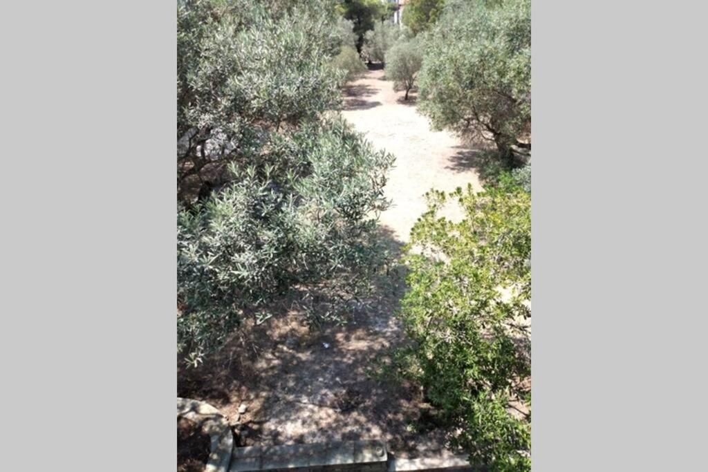 Nefolia Villa Vourvourou Dış mekan fotoğraf