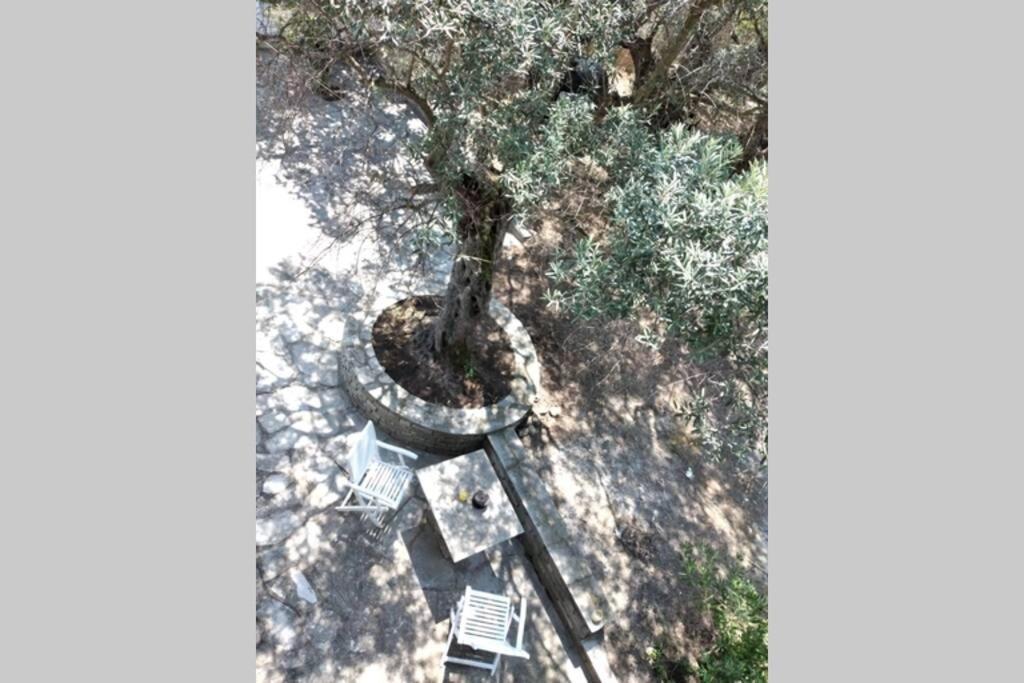 Nefolia Villa Vourvourou Dış mekan fotoğraf